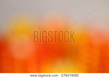 Colorful Background Soft Multi Color Style Abstract Blurred Pink Red Yellow Gold Green, Rainbow Brig