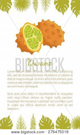Kiwano Exotic Juicy Fruit Vector Poster Text Sample And Palm Leaves. Cucumis Metuliferus, African Ho