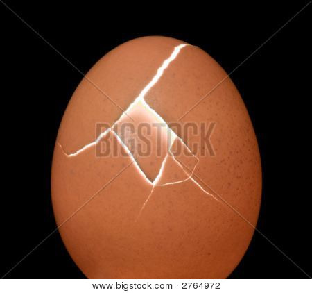 Mysterious Egg Cracking With Light