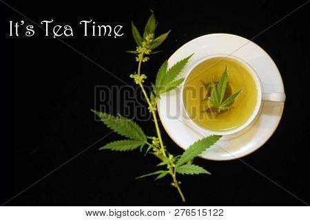 Cannabis Tea. Marijuana Tea. Hemp Tea in a White Tea Cup on Black Velvet Background. Marijuana Leaf and Stem with flowers. Room for text. 
