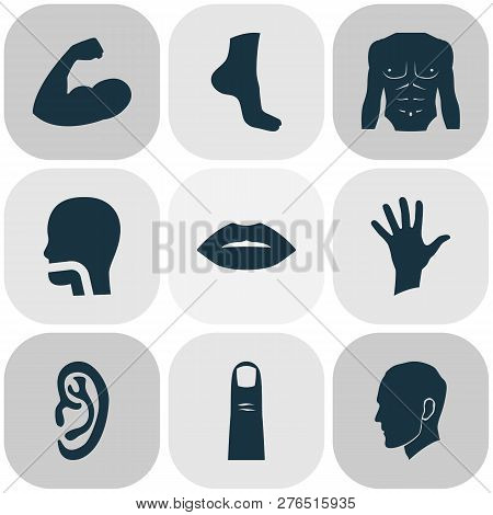 Body Icons Set With Finger, Chest, Oral Cavity And Other Listen Elements. Isolated Vector Illustrati
