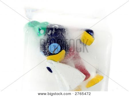 Bevroren Penguin