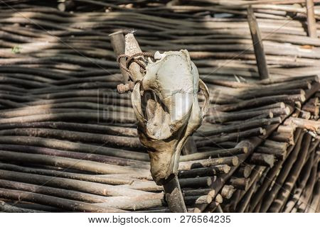 An Empty Wineskin Hanging On A Wicker Fence. Rural Environment, Rusticl Life. Evening Light, The Ray