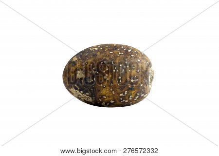 Hog Plum Spondias Pinnata Forest Fruit (makok Thai Word) Isolated On White Background Closeup