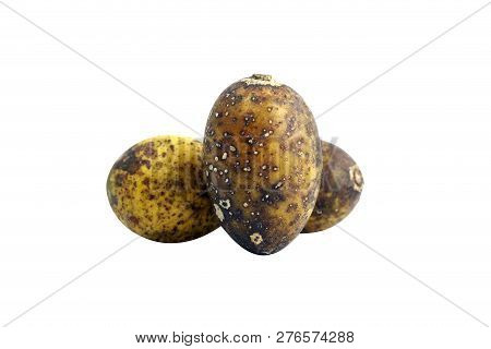 Hog Plum Spondias Pinnata Forest Fruit (makok Thai Word) Isolated On White Background Closeup