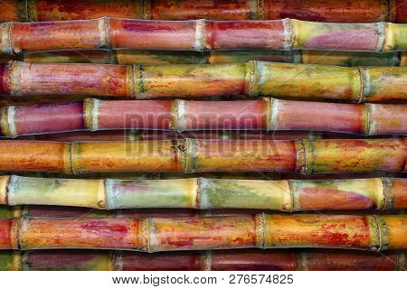 Sugar Cane Fresh, Cane Background Top View, Sugarcane Fresh Background, Sugarcane Agriculture