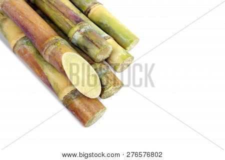 Sugar Cane, Cane, Sugarcane Piece Fresh, Sugar Cane On White Background, Sugarcane Agriculture