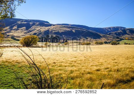 Mountain Fields Landscape In New Zealand Alps
