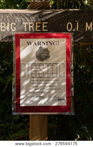 Notice At The Entrance Of One Of The Trails For The Mountain Lions Sighting In Redwood National Park