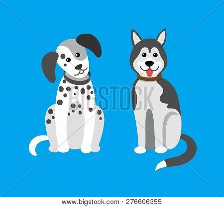 Dog Puppies Sitting In Clinic, Hospital Doggy Pets Vector. Breeds Of Mammal Animals Doggish Creature