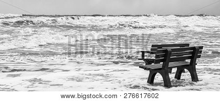 Sea Coast Bw