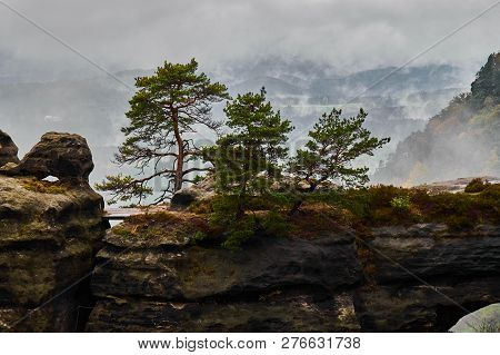 Misty Foggy Landscape Of The Pravcicka Gate (pravcicka Brana) The Largest Natural Sandstone Arch In 