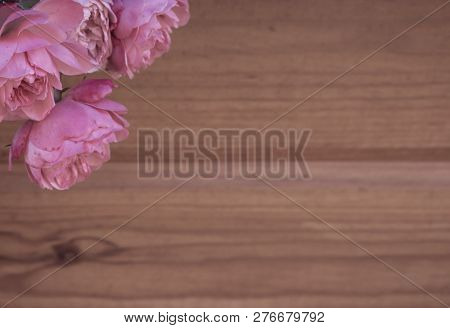 Dirty-pink Vintage Roses On Brown Wooden Background.