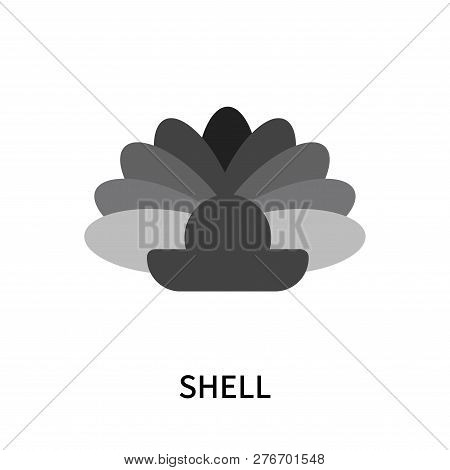 Shell Icon Isolated On White Background. Shell Icon Simple Sign. Shell Icon Trendy And Modern Symbol