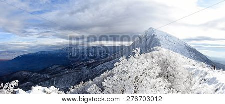 European Beautiful Winter Mountains. Winter On Dry Mountain, Trem, Serbia