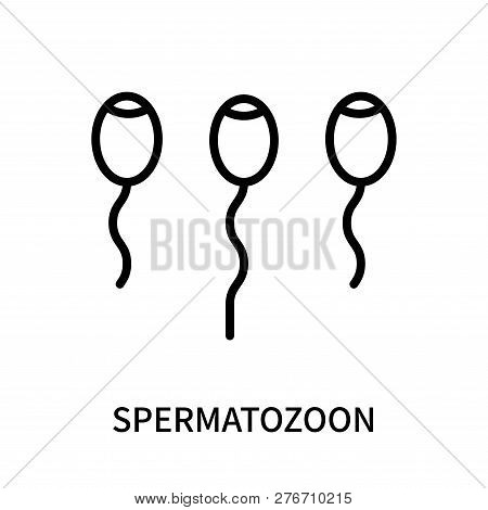 Spermatozoon Icon Isolated On White Background. Spermatozoon Icon Simple Sign. Spermatozoon Icon Tre