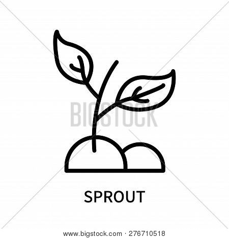 Sprout Icon Isolated On White Background. Sprout Icon Simple Sign. Sprout Icon Trendy And Modern Sym