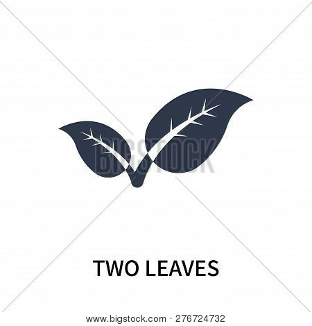 Two Leaves Icon Isolated On White Background. Two Leaves Icon Simple Sign. Two Leaves Icon Trendy An