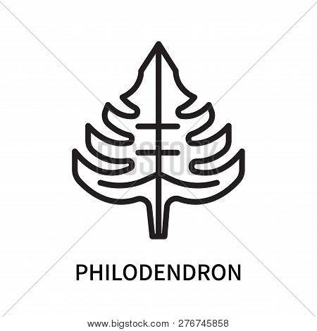 Philodendron Icon Isolated On White Background. Philodendron Icon Simple Sign. Philodendron Icon Tre