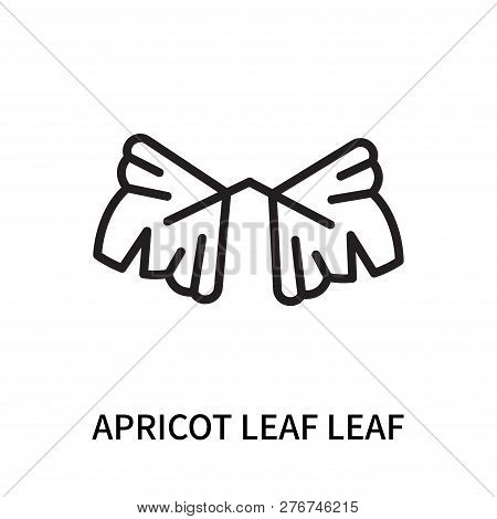 Apricot Leaf Leaf Icon Isolated On White Background. Apricot Leaf Leaf Icon Simple Sign. Apricot Lea