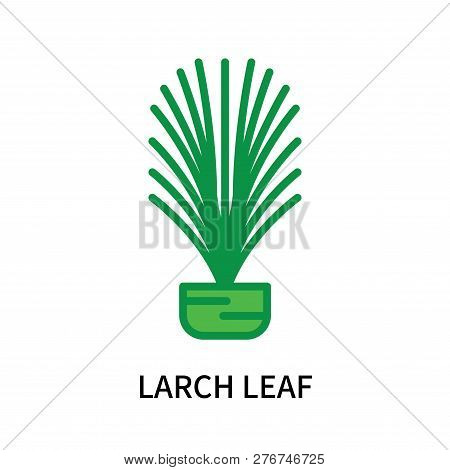 Larch Leaf Icon Isolated On White Background. Larch Leaf Icon Simple Sign. Larch Leaf Icon Trendy An
