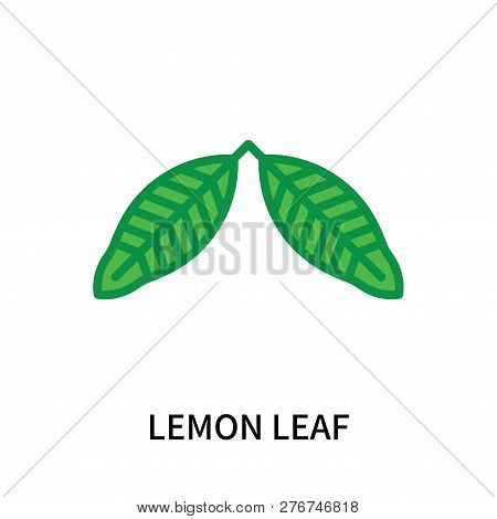Lemon Leaf Icon Isolated On White Background. Lemon Leaf Icon Simple Sign. Lemon Leaf Icon Trendy An