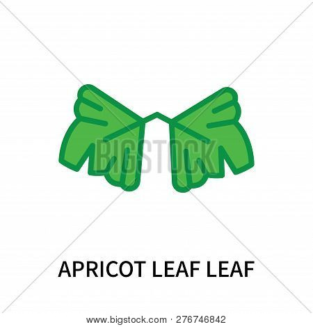 Apricot Leaf Leaf Icon Isolated On White Background. Apricot Leaf Leaf Icon Simple Sign. Apricot Lea