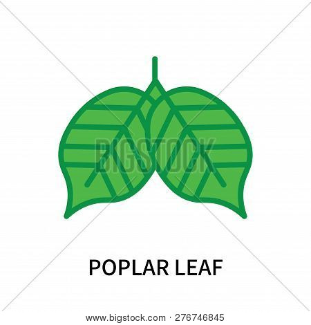 Poplar Leaf Icon Isolated On White Background. Poplar Leaf Icon Simple Sign. Poplar Leaf Icon Trendy