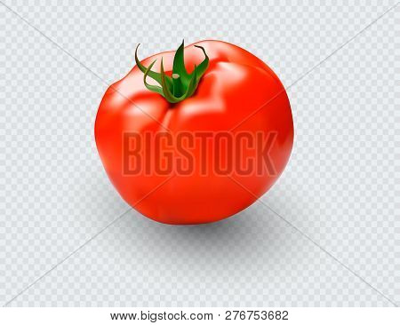 Tomato Set. Red Tomato Collection. Photo-realistic Vector Tomatoes On Transparent Background