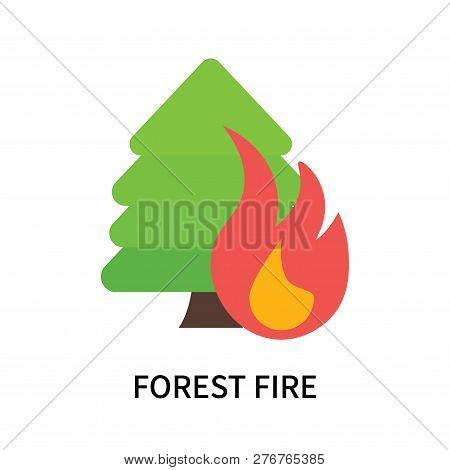 Forest Fire Icon Isolated On White Background. Forest Fire Icon Simple Sign. Forest Fire Icon Trendy