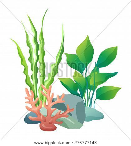Green Vegetation Of Deep Sea. Decorations To Put In Aquariums. Stones With Holes And Plants Differen