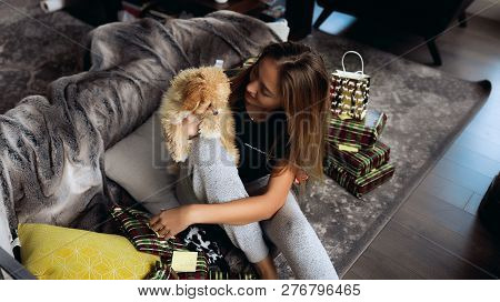 Winter Picture Full Of Love And Care Of Our Small Friends - Dogs. Maltipoo Puppy With Red And White 