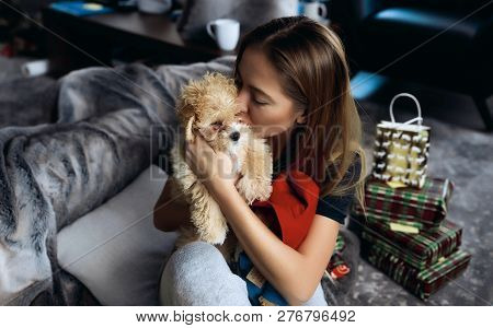 Portrait Of Loving And Careful Pet Owner. Young Lady Hugging And Kissing Small Maltipoo Puppy With T