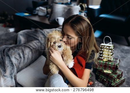 Close-up Picture Of The Best Friends Tender Lady And Her Little Doggy With Red Curlies. Presents For