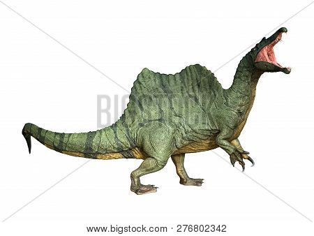 3D Rendering Dinosaur Spinosaurus On White