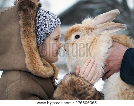 Acquaintance Of A Little Girl And A Huge Rabbit.