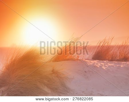 Sunset On The Sand Beach With Beach Beac Hgrass