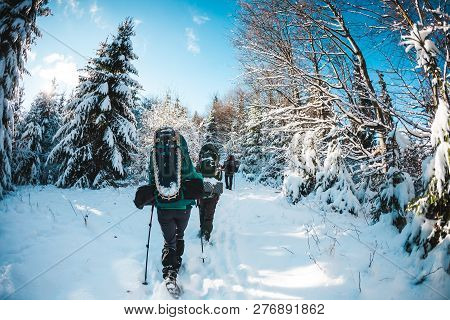 Friends In The Winter Trekking In The Mountains. Travelers Go On A Snowy Forest Trail. Three Friends