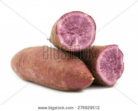 Tapioca Plants Cassava Closeup Isolated On White Background