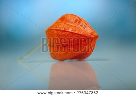 Close-up Of Cape Gooseberry. Shallow Depth Of Field.