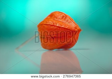 Close-up Of Cape Gooseberry. Shallow Depth Of Field.