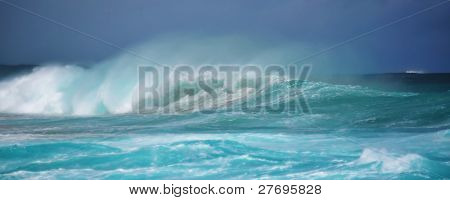 Wild Surfen