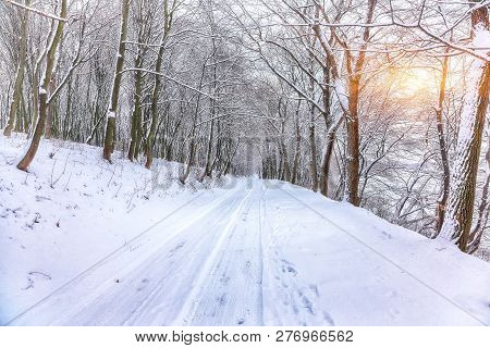 Silence On A Winter Road In The Forest. Lots Of Snow In Winter Time