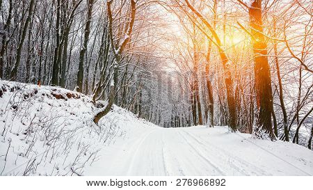 Silence On A Winter Road In The Forest. Lots Of Snow In Winter Time