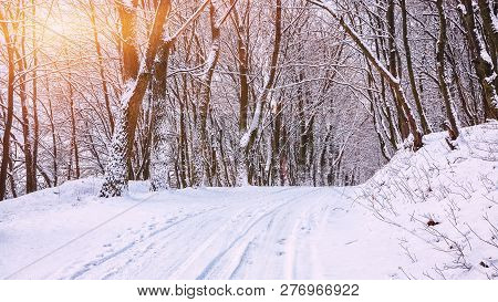 Silence On A Winter Road In The Forest. Lots Of Snow In Winter Time