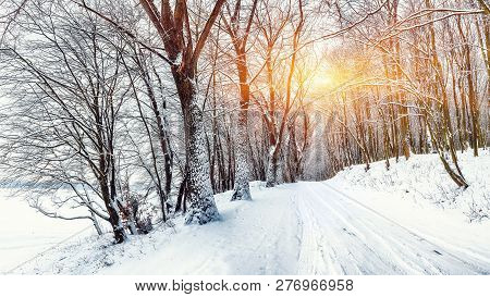 Silence On A Winter Road In The Forest. Lots Of Snow In Winter Time