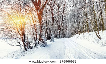 Silence On A Winter Road In The Forest. Lots Of Snow In Winter Time