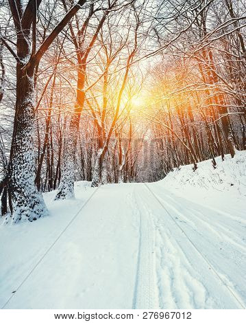 Silence On A Winter Road In The Forest. Lots Of Snow In Winter Time