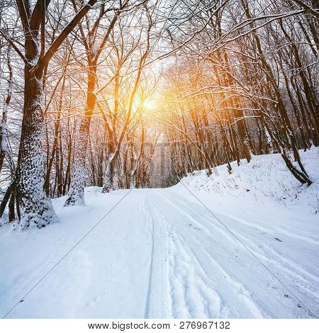 Silence On A Winter Road In The Forest. Lots Of Snow In Winter Time