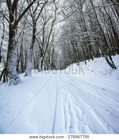 Silence On A Winter Road In The Forest. Lots Of Snow In Winter Time
